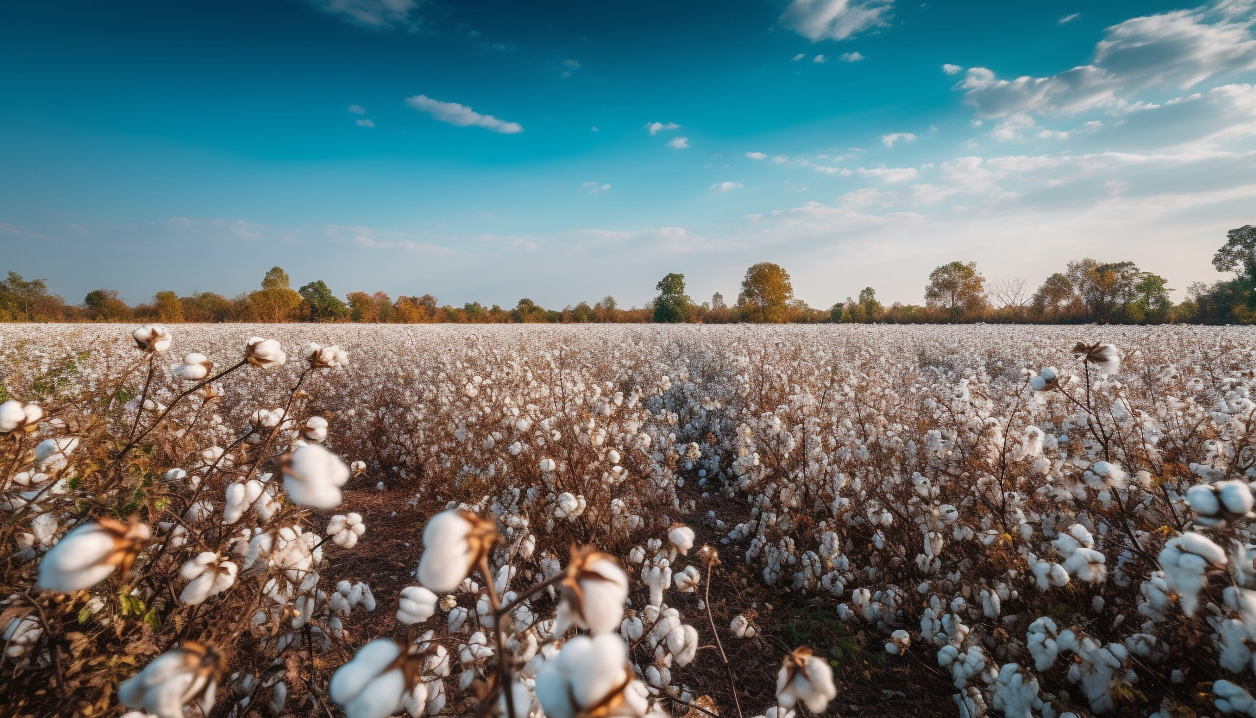 Traceability in the Cotton Supply Chain