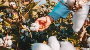 How Fiber Properties Impact Yarn Quality